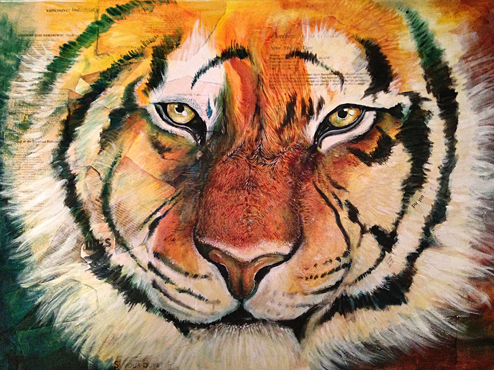 A tiger peers at a viewer- who is being hunted, the tiger, or the viewer?