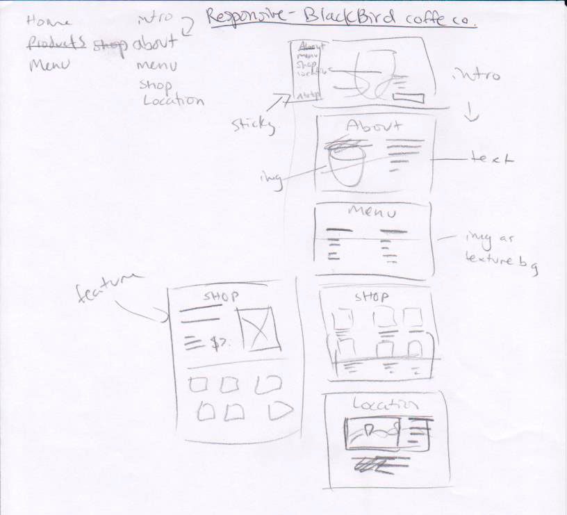 Blackbird Coffee Co. rough wireframe sketches